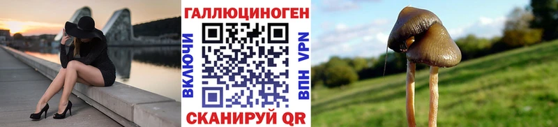 Псилоцибиновые грибы ЛСД  Бологое 
