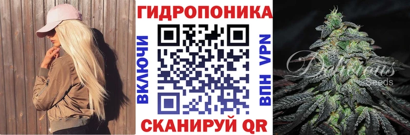 omg ссылки  Бологое  Бошки марихуана ГИДРОПОН 